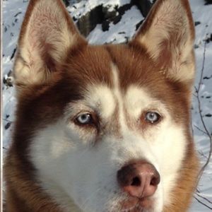 Meet your Posher, Jeff